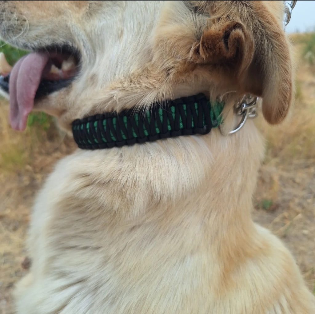 Black and green Paracord training collar
