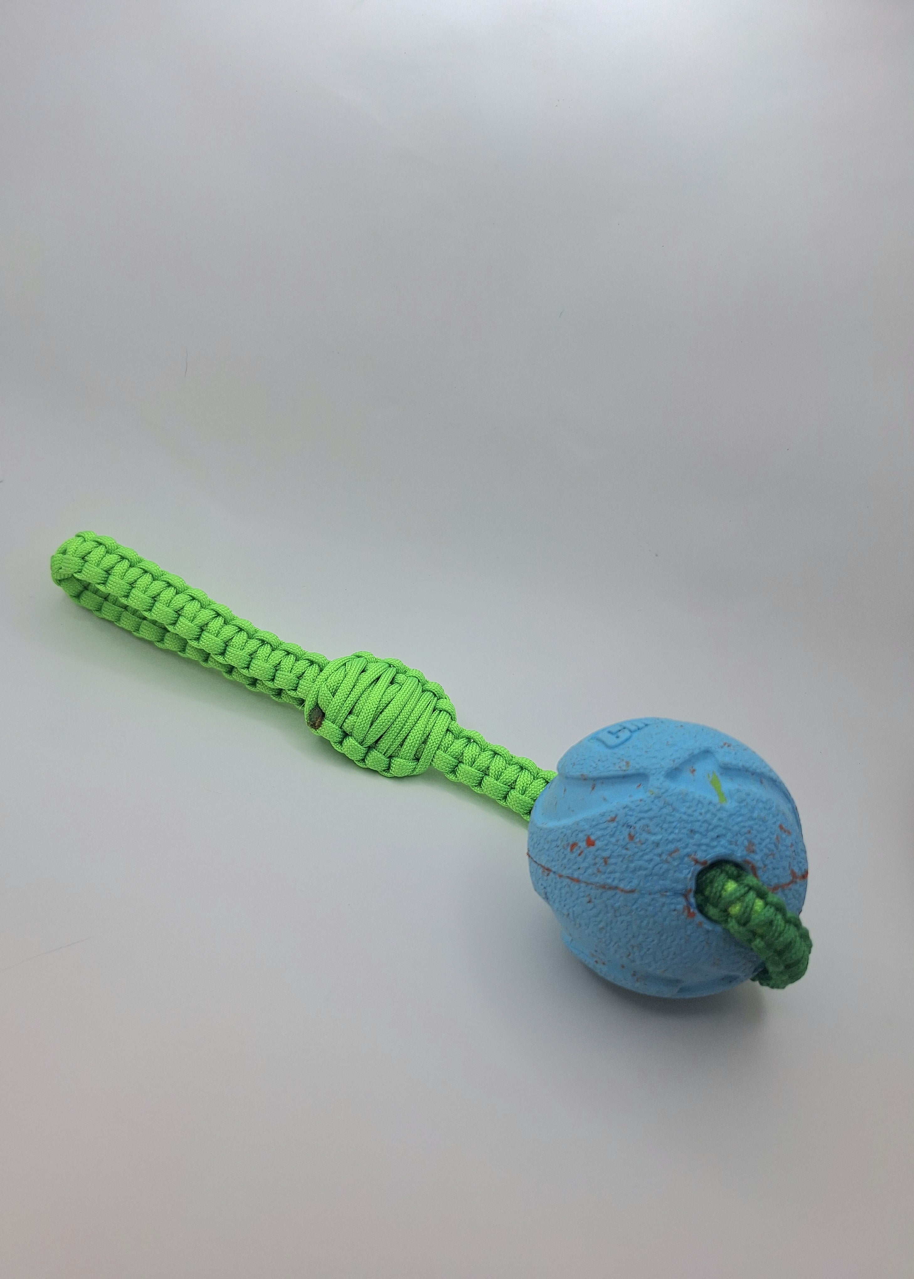 Paracord dog tug