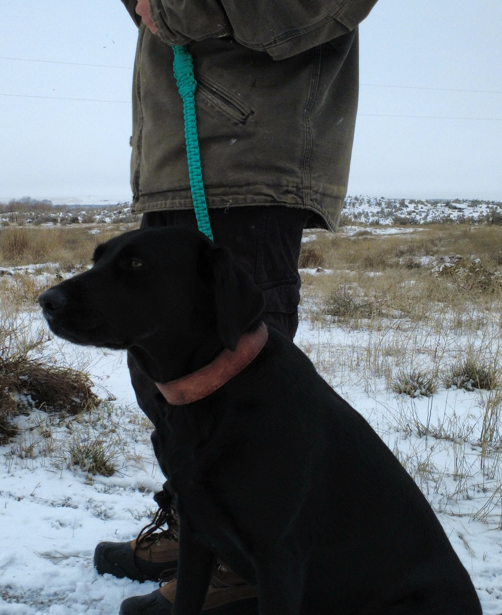 Turquoise paracord dog training leash