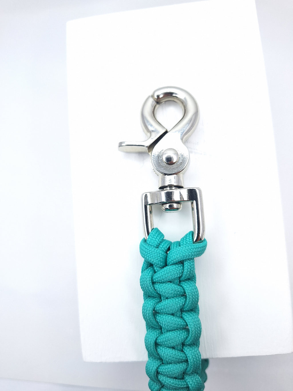 Turquoise paracord dog training leash