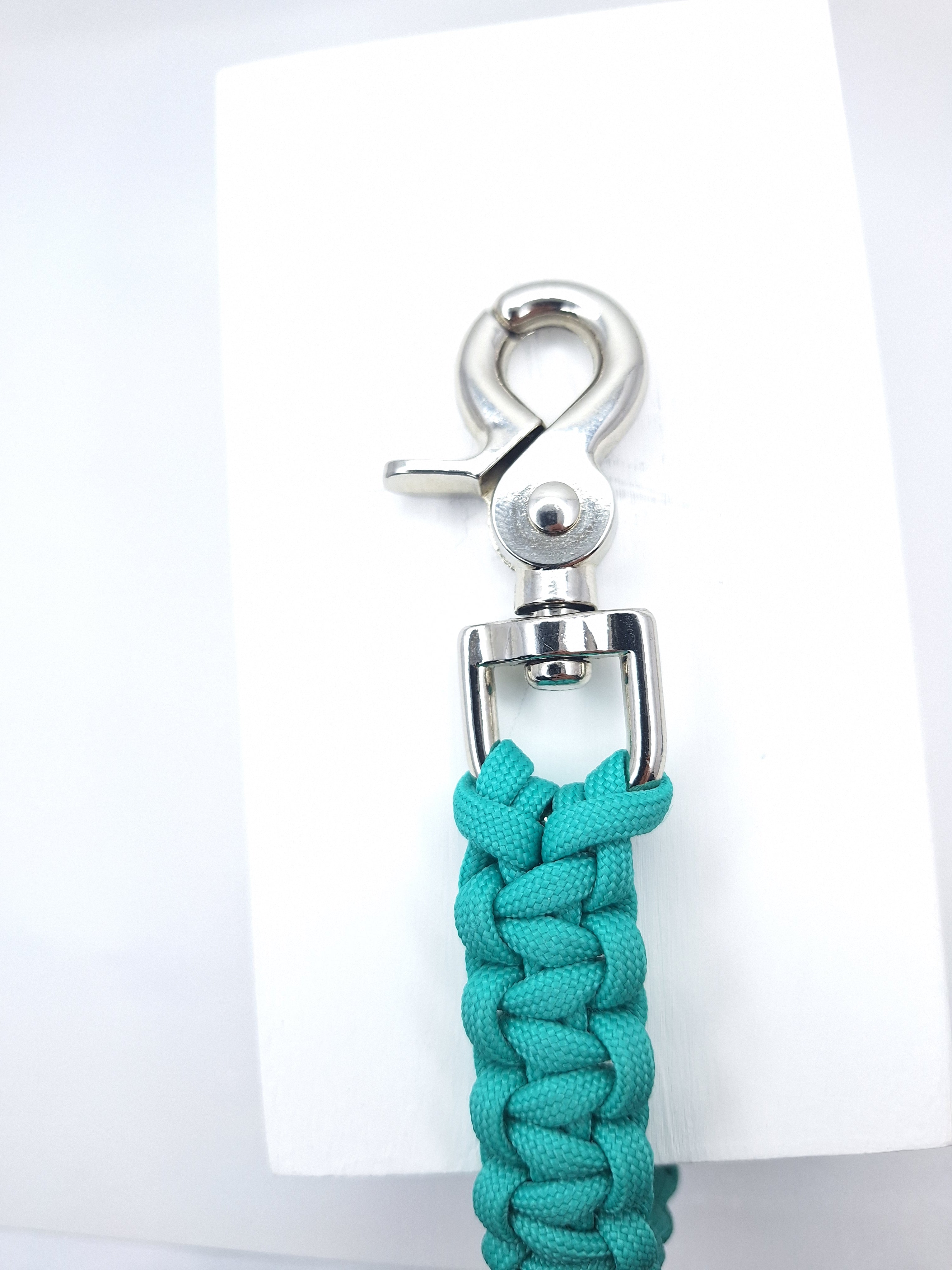 Turquoise paracord dog training leash