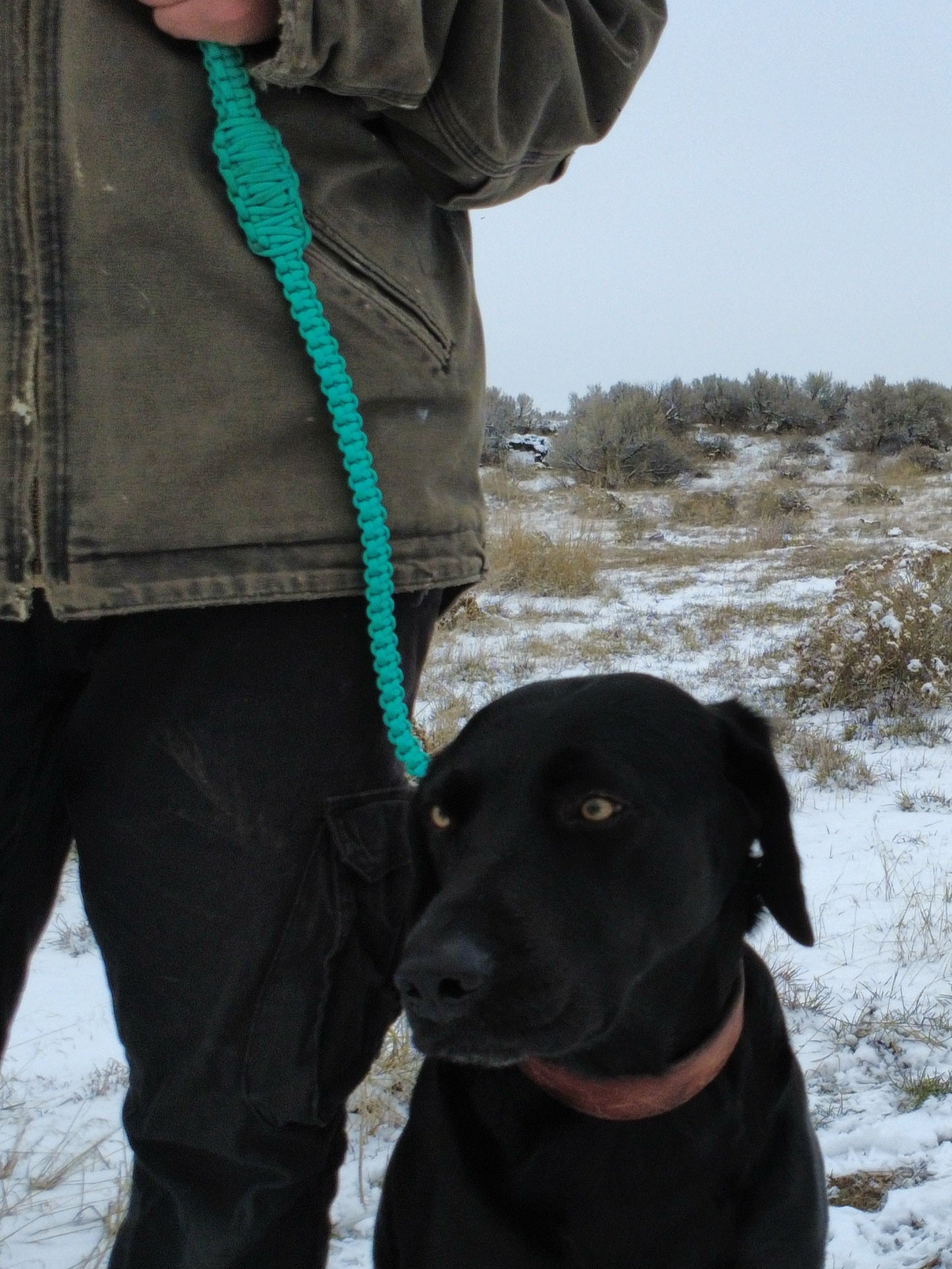 Turquoise paracord dog training leash