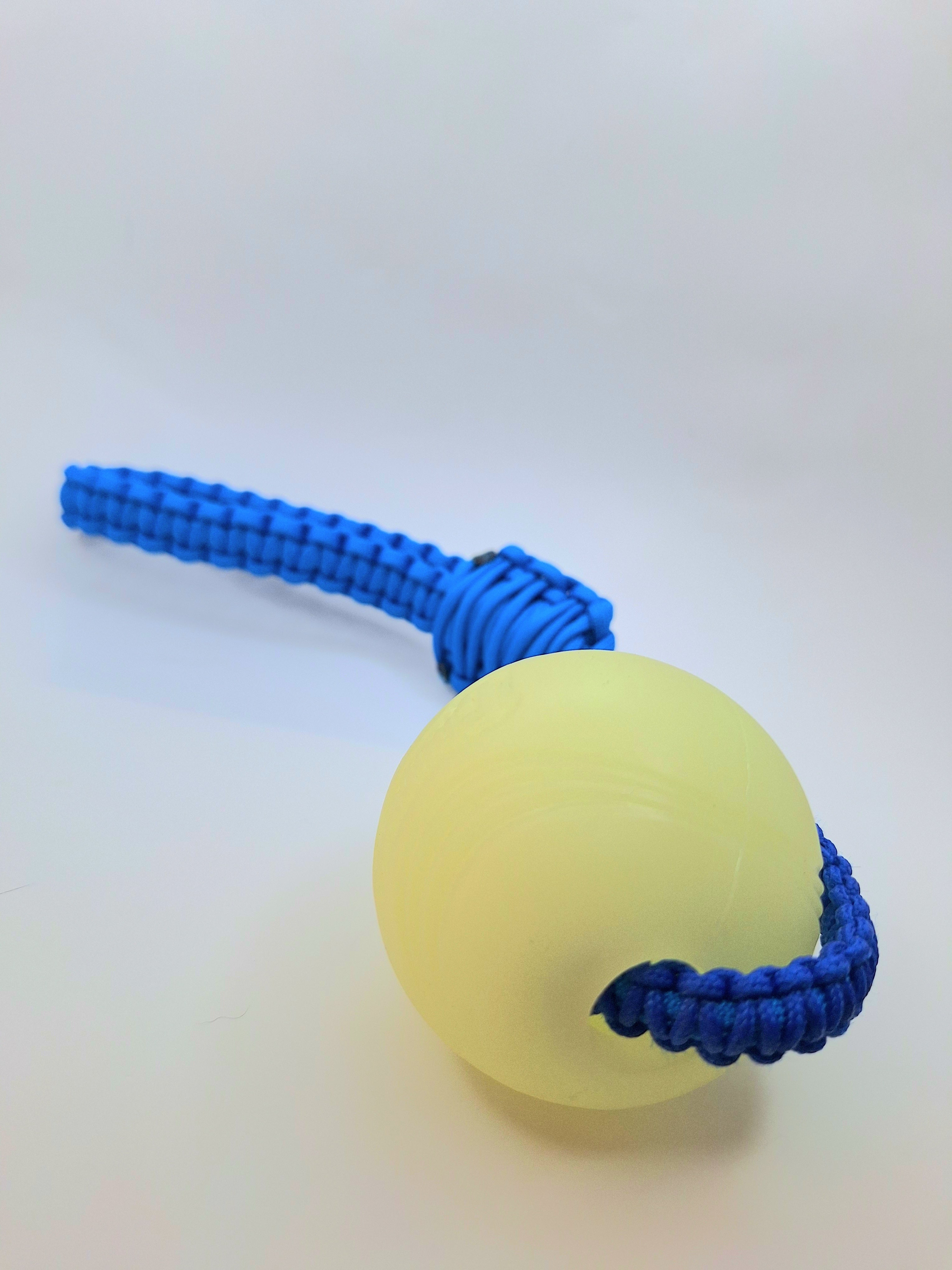 Paracord dog tug