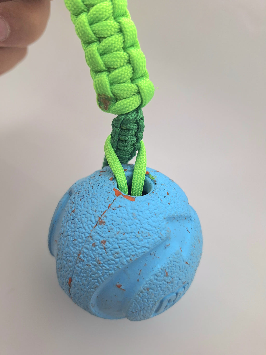 Paracord dog tug